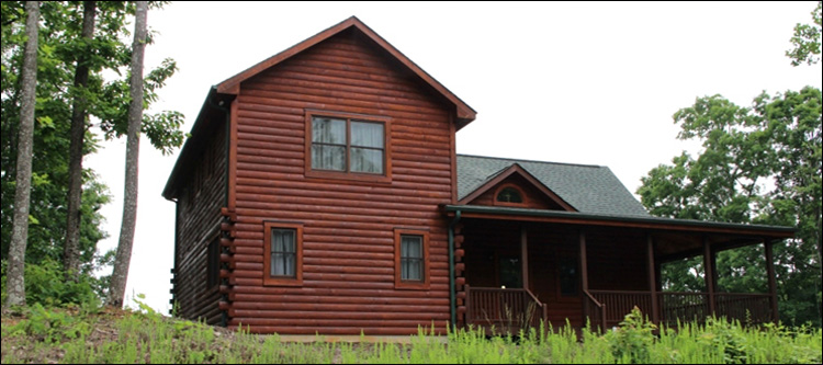 Professional Log Home Borate Application  Newton County, Georgia